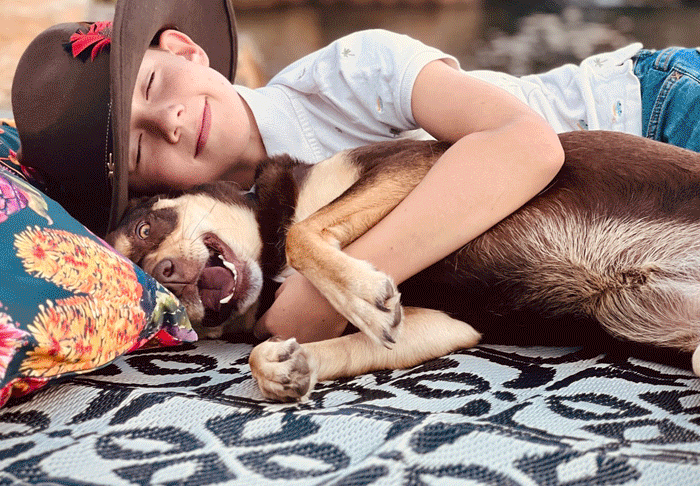 Why Our Eco-Friendly Mats Are a Pawsome Choice for Your Dog