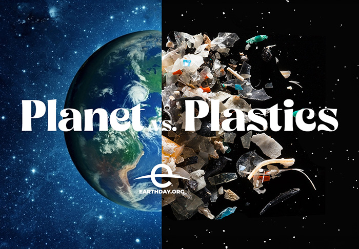 Celebrate Earth Day with Sustainable Living: Small Changes, Big Impact